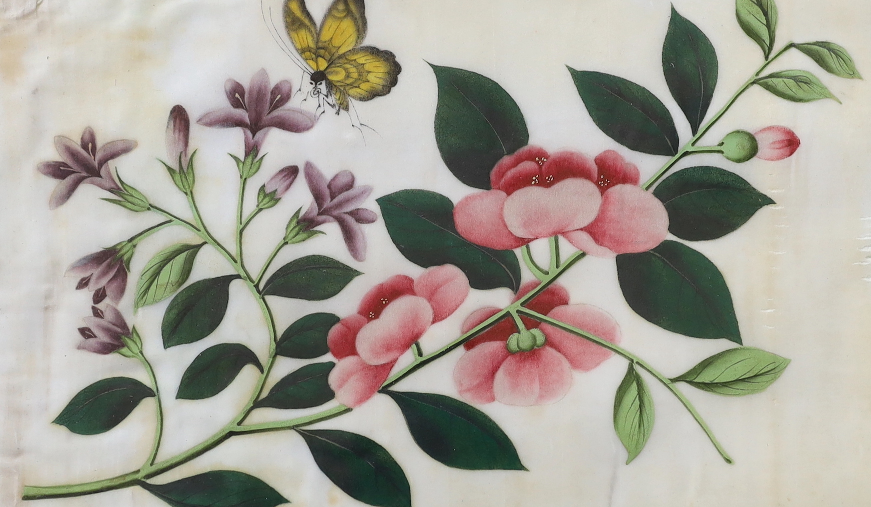 A pair of Chinese pith paper paintings, still life’s of flowers and butterflies, 14 x 23cm